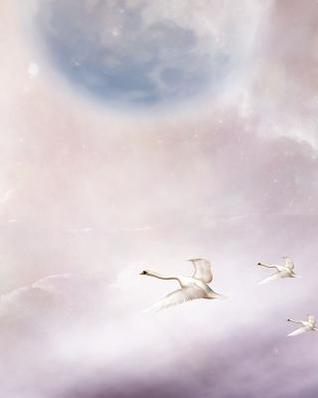 [7d16b] !F.u.l.l.# *D.o.w.n.l.o.a.d% Dream Journal: A Notebook to Record and Organize Your Dreams and Them Interpret Them. -  @PDF!