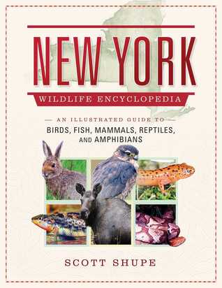 [43f17] *R.e.a.d! The New York Wildlife Encyclopedia: An Illustrated Guide to Birds, Fish, Mammals, Reptiles, and Amphibians - Scott Shupe ^P.D.F@